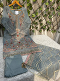Ai-06 Organza Party Wear And Wedding Wear