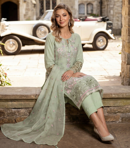 NP-03  Chiffon Party Wear