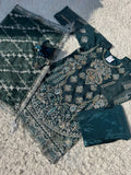 Ai-15 Organza Party Wear And Wedding Wear