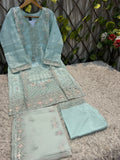 P-01 Organza Party Wear
