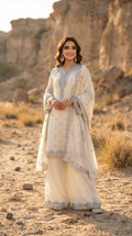 S-55 Chiffon Party Wear