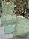 Ai-17 Organza Party Wear And Wedding Wear