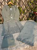 P-03 Organza Party Wear