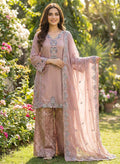S-11 Chiffon Party Wear