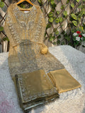 Ai-13 Organza Party Wear And Wedding Wear
