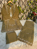 P-02 Organza Party Wear