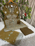 Ai-02 Organza Party Wear