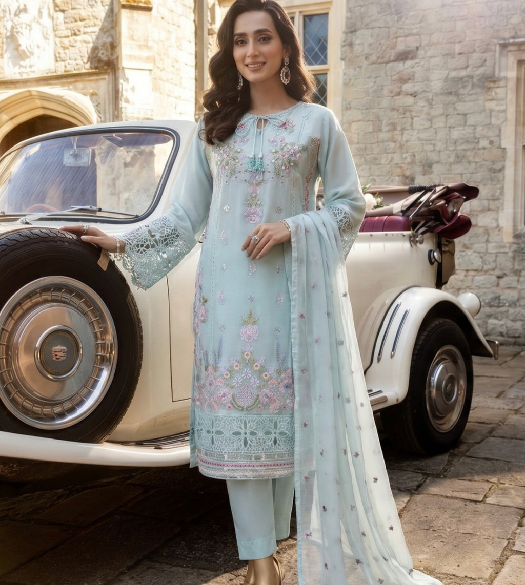 NP-01  Chiffon Party Wear
