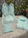S-46 Chiffon Party Wear