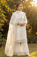 S-35 Chiffon Party Wear