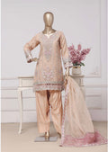 SB-02 Organza Party Wear And Wedding Wear